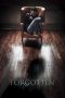 Forgotten (2017) Forgotten (2017)