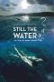 Still the Water (Futatsume no mado) (2014) Still the Water (Futatsume no mado) (2014)